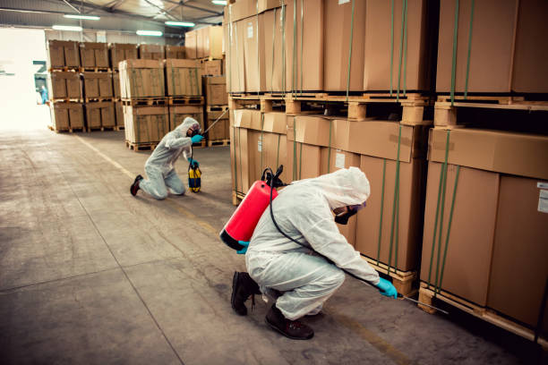 Best Pest Control Near Me  in Allendale, SC