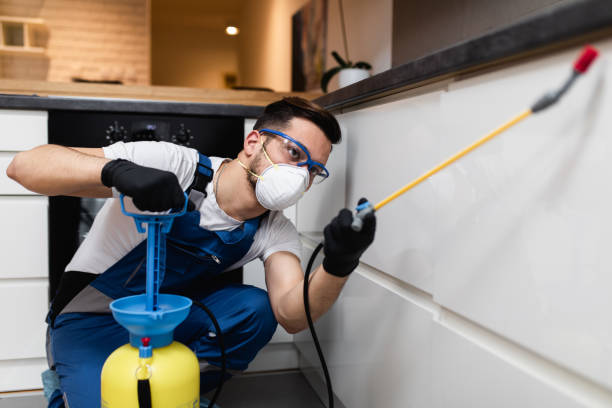 Best Emergency Pest Control  in Allendale, SC