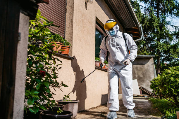 Best Residential Pest Control  in Allendale, SC