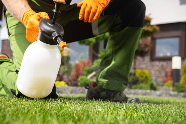 Flea Control Services in Allendale, SC