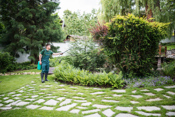 Best Best Pest Control Companies  in Allendale, SC