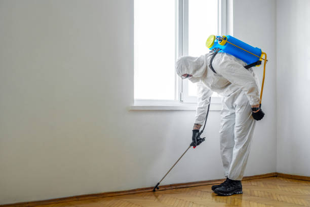 Best Flea Control Services  in Allendale, SC
