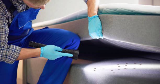 Best Cockroach Control Services  in Allendale, SC