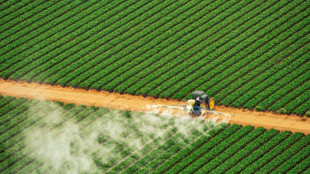 Best Commercial Pest Control Services  in Allendale, SC