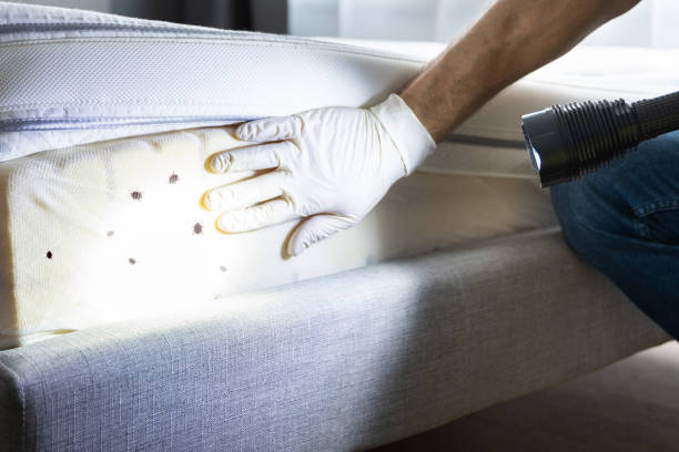 Pest Control Cost in Allendale, SC