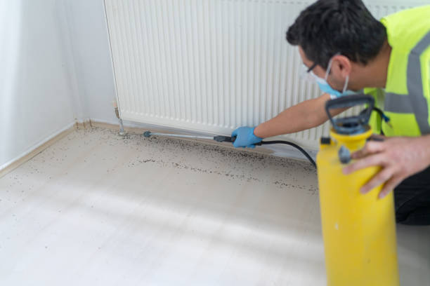 Best Wasp Removal Services  in Allendale, SC