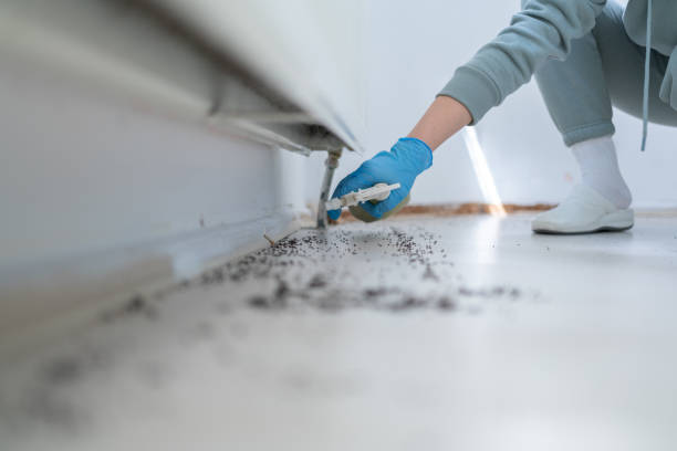 Best Pest Prevention Services  in Allendale, SC