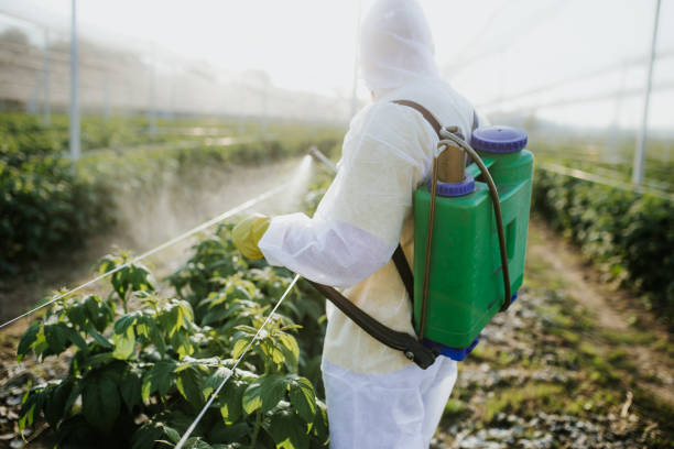 Best Pest Inspection Near Me  in Allendale, SC
